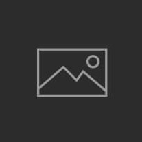 sports bet online